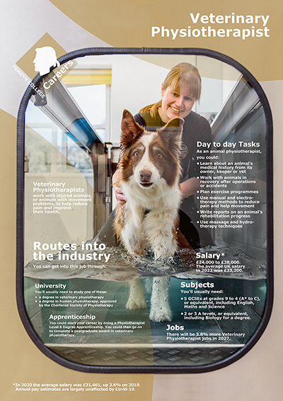 Veterinary Physiotherapist job poster